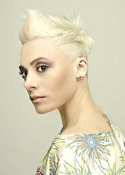 Immagine HAIRFASHION ROBERT BRISCOLINI - ITALIAN STYLE A421-01.jpg