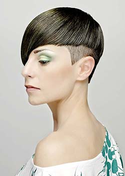 Immagine HAIRFASHION ROBERT BRISCOLINI - ITALIAN STYLE A421-11.jpg