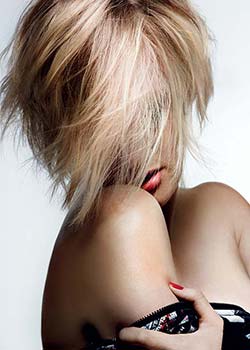 Immagine HAIRFASHION HAUTE COIFFURE FRANCAISE A460-05.jpg