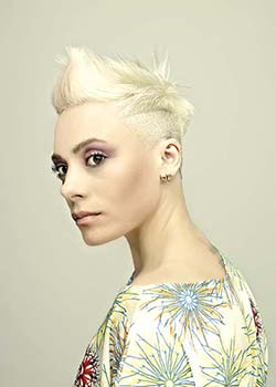 Immagine HAIRFASHION ROBERT BRISCOLINI - ITALIAN STYLE A475-01.jpg
