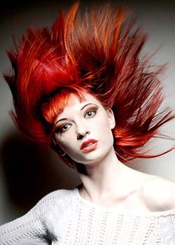 Immagine HAIRFASHION ROBERT BRISCOLINI - ITALIAN STYLE A520-03.jpg