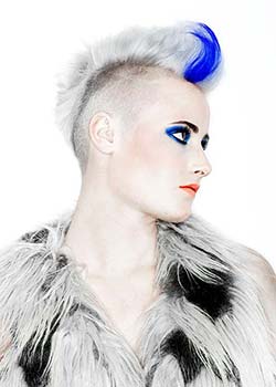 Immagine HAIRFASHION ROBERT BRISCOLINI - ITALIAN STYLE A520-10.jpg