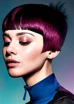 Immagine HAIRFASHION ROYSTON BLYTHE e CHARLES DOUEK A634-04.jpg