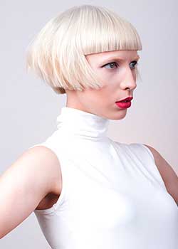 Immagine HAIRFASHION MILICA MAKSIMOVIC SHISHALICA A711-05.jpg