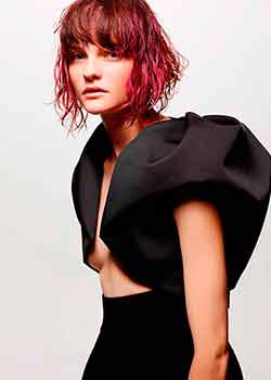 Immagine HAIRFASHION HAUTE COIFFURE FRANCAISE A831-01.jpg