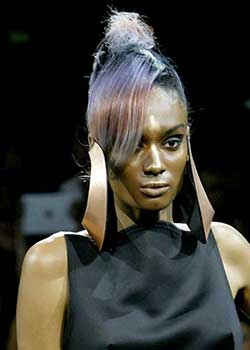 Immagine HAIRFASHION HAUTE COIFFURE FRANCAISE A839a-04.jpg