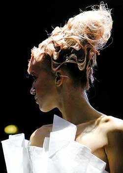 Immagine HAIRFASHION HAUTE COIFFURE FRANCAISE A839d-03.jpg