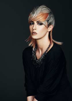 Immagine HAIRFASHION ITELY HAIRFASHION B423-02.jpg