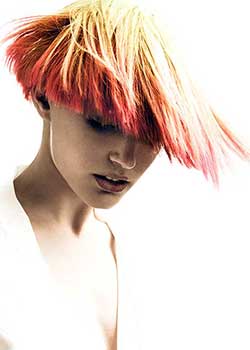 Immagine HAIRFASHION NEIL BARTON - NEIL BARTON HAIRDRESSING B496-07.jpg