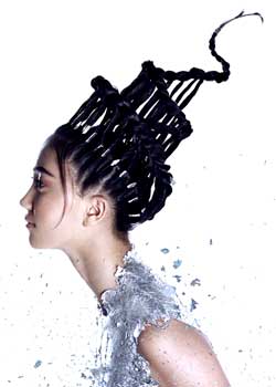Immagine HAIRFASHION ANTONIO CALVO ESTILISTAS C/C741-02.jpg