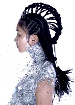 Immagine HAIRFASHION ANTONIO CALVO ESTILISTAS C/C741-04.jpg
